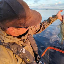 Matias Epelän kuva, jossa hän on uistelemassa ilta-auringossa ja pitää kädessään kuhaa.